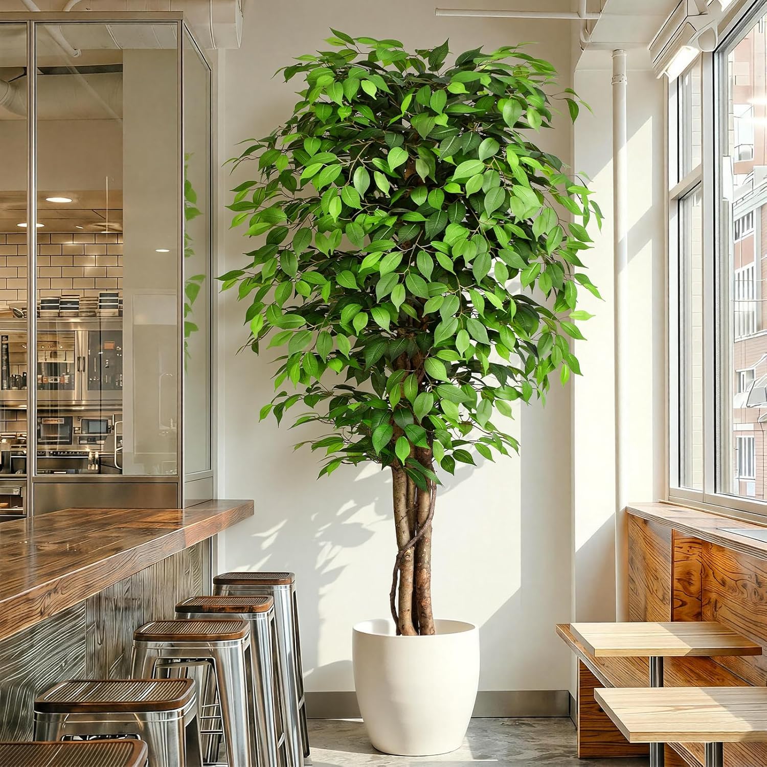شجرة التين الاصطناعية الواقعية - مراجعة Ficus Lyrata Tree وسعره